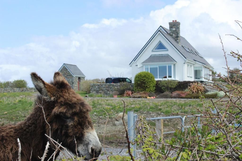 Дома для отпуска Aistara, Ballyconneely Балликоннили-56